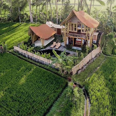Arapan Ubud Eco Villa Kültér fotó