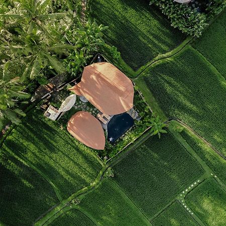 Arapan Ubud Eco Villa Kültér fotó