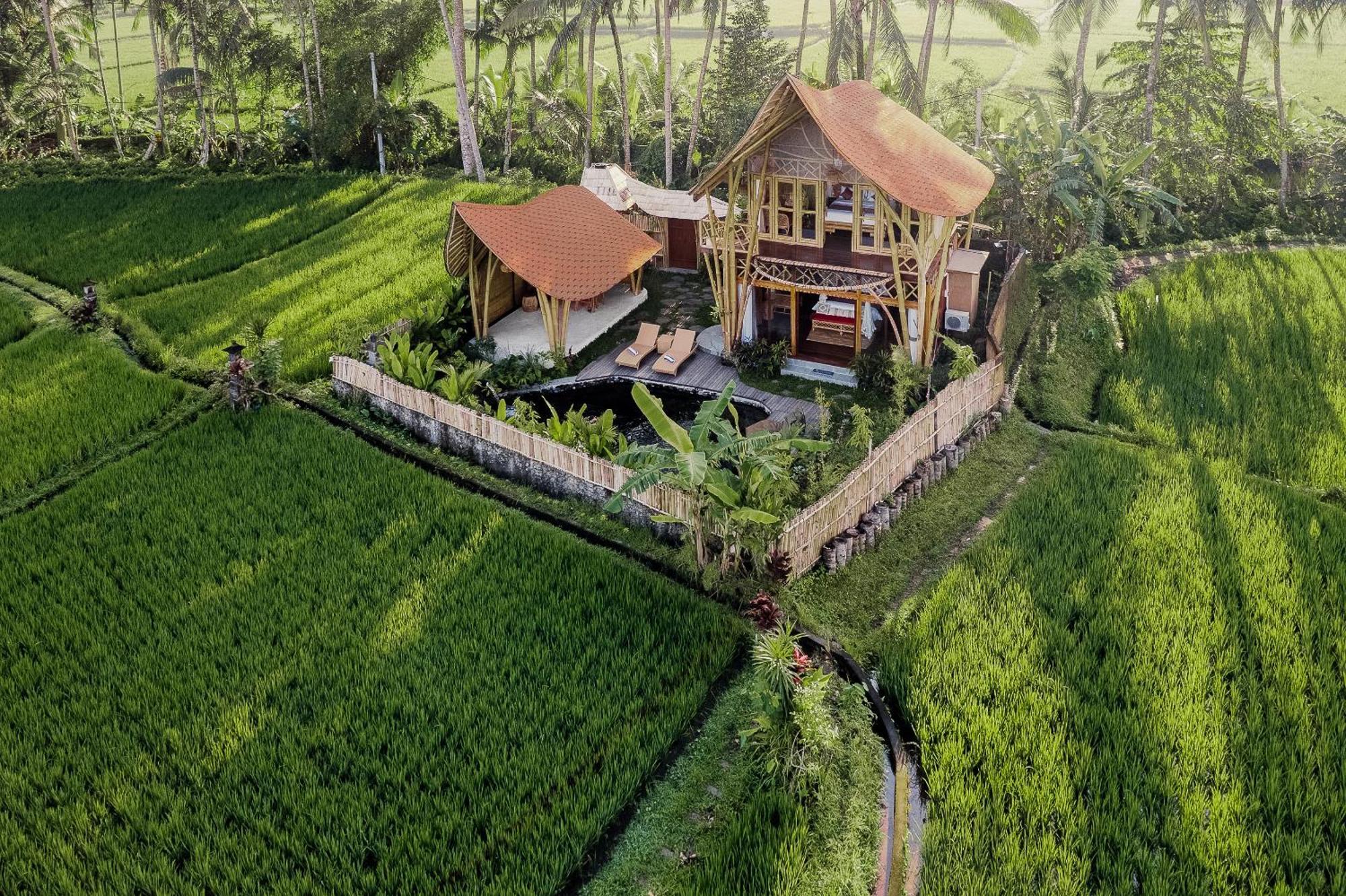 Arapan Ubud Eco Villa Kültér fotó