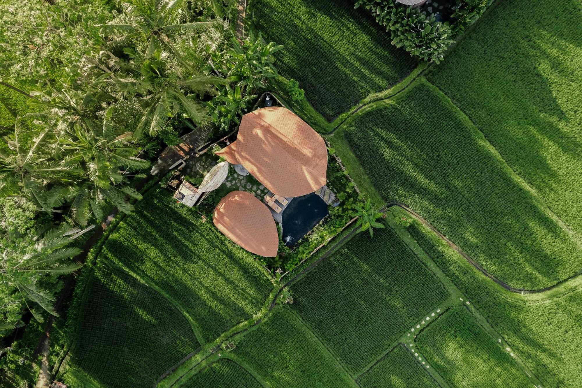Arapan Ubud Eco Villa Kültér fotó