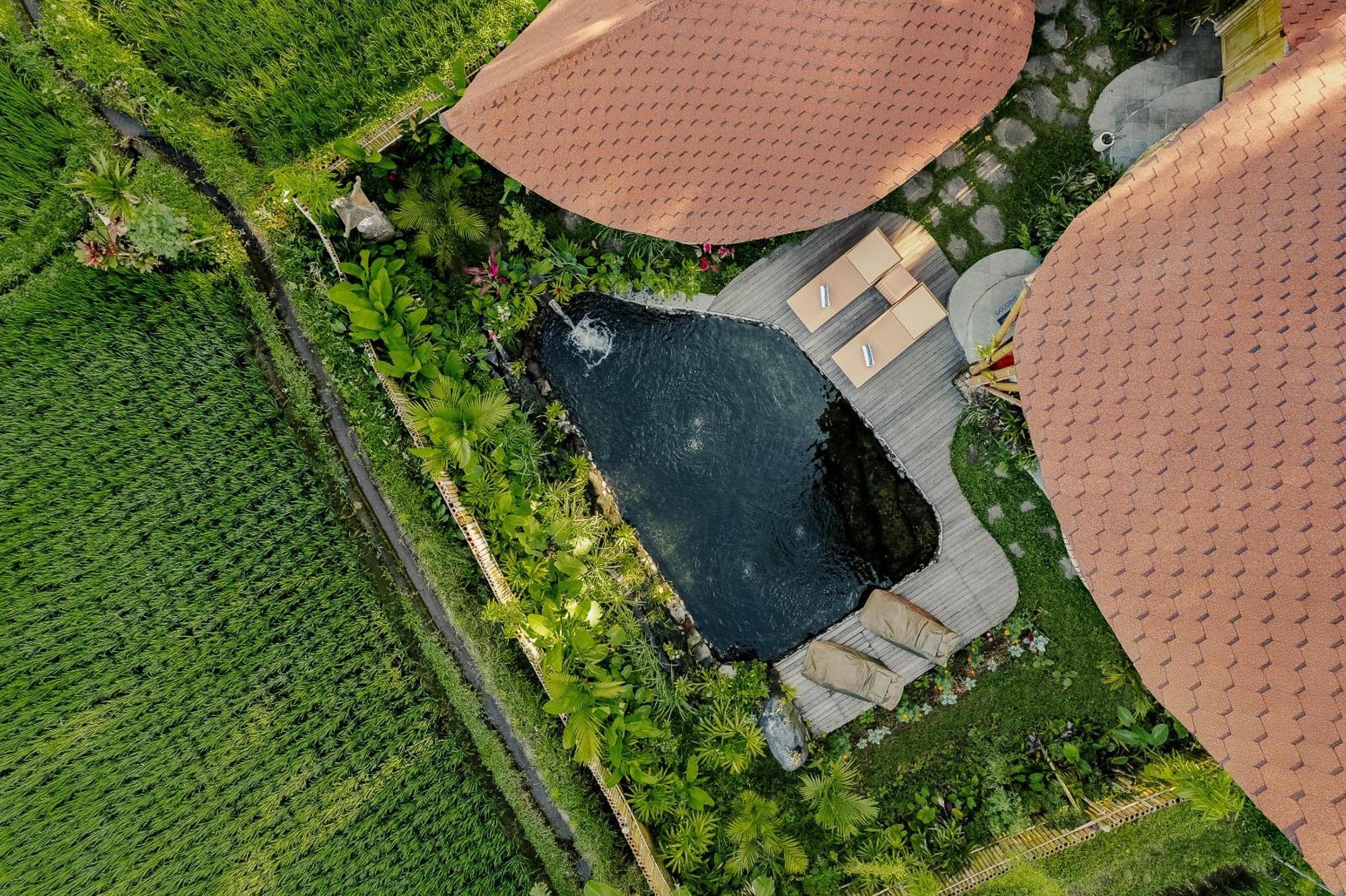 Arapan Ubud Eco Villa Kültér fotó